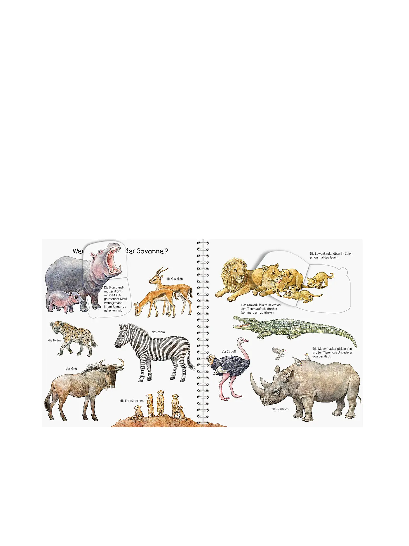 RAVENSBURGER | Buch - Wieso Weshalb Warum Junior - Mein Junior-Lexikon Tiere | 